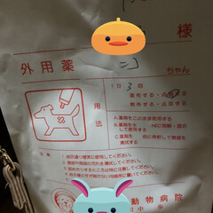 薬/晩ご飯/めん/猫/くろ/にこ/... にこを連れて病院へ行ってきました。
明日…