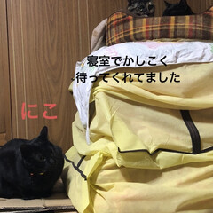 晩ご飯/黒猫/くろ/にこ/猫/めん/... 今日も一日お疲れ様です。
コンロ❣️
届…(5枚目)