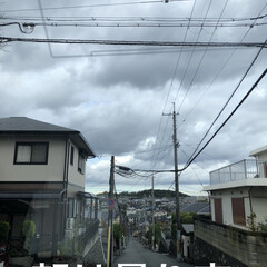 薬/お昼ご飯/空/猫/めん/黒猫/... こんばんはです。
今日は旦那さんと通院に…