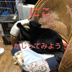 晩ご飯/黒猫/にこ こんばんは😊今日も一日お疲れ様です。
晩…(5枚目)