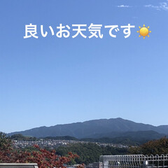 差し色/空 買い物へ行く時もいつも旦那さんと一緒が多…