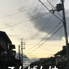 しまむら/ワンピース/晩ご飯/空/猫飼のしあわせ/癒し/... 今日も一日お疲れ様です。
朝は最悪な寝起…