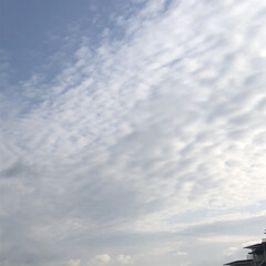 空/ご褒美/にこ/くろ/黒猫/めん/... おはようございます。朝から頑張ってリハビ…