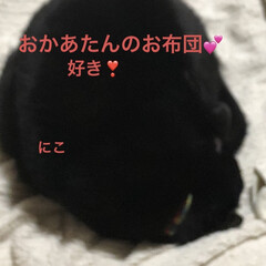 晩ご飯/黒猫/にこ/くろ/猫/めん こんばんはです。
救急搬送された娘を旦那…(5枚目)