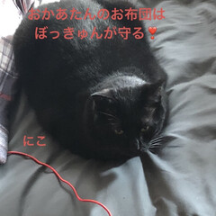 朝ご飯/空/にこ/くろ/めん/黒猫/... おはようございます☀良いお天気かな？日差…(6枚目)