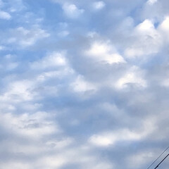 モーニング/空 おはようございます😊
今日の空も綺麗です…(3枚目)
