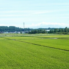 蕎麦畑/蕎麦の花/田園風景/ススキ 少し前のphotoですが、蕎麦畑です。花…(2枚目)