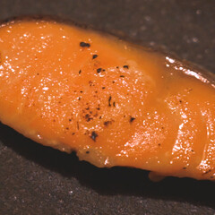 和食/魚介レシピ/鮭レシピ/魚レシピ/鮭/真空低温調理/... 🍴低温調理で簡単「鮭の西京焼き🐟」
レシ…(1枚目)