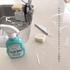 ウタマロクリーナー | ウタマロ(その他洗剤)を使ったクチコミ「毎月月初にキッチンを丁寧に掃除しています…」(2枚目)