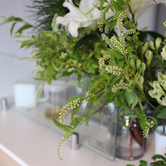 花器/IKEA/生花/花のある暮らし/キッチン/暮らし おはようございます。
やっぱり生花がすき…(1枚目)