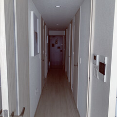 ポスター/廊下インテリア/廊下/ホワイトインテリア/マンション/マンションライフ/... リビング側から見た廊下。
真っ白な空間に…(1枚目)
