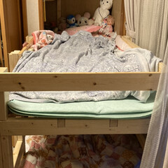 二段ベッド/ツーバイフォー/DIY/自作ベッド 長女と次女の二段ベッド

半間の使いにく…(6枚目)