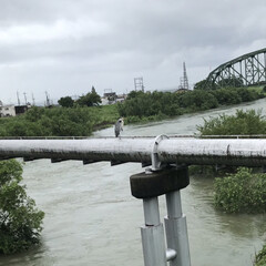 久々のフォット/地元川 橋の上から📸 川の水増えてたけどまだまだ…(1枚目)