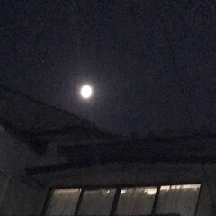 月/夜お隣さん ごんばんは
お隣さんの屋根の上にお月さん…(1枚目)