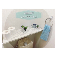 棚/トイレ/ダイソー/お片付け/雑貨/DIY/... シンプル過ぎるトイレに飾り棚を作ったよ☺…(2枚目)