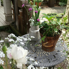 ガーデニング 今日の庭の花♪
GWもラスト～
庭と家庭…(1枚目)