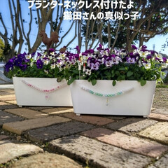 ケロちゃん/親バカ同盟/にゃんこ同好会/寄植え/ビオラ/猫田さん/... 寒さで体調を崩してしまい🥶
LIMIAを…