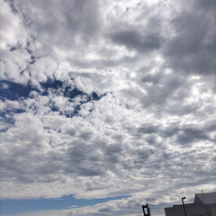 ハムスターの話/ハムスター/そら/空/きれい/雲の写真/... こんにちは〜ねこなです！一昨日も今日もお…(5枚目)