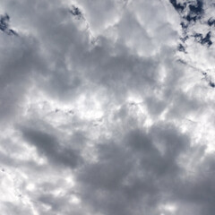 ハムスターの話/ハムスター/そら/空/きれい/雲の写真/... こんにちは〜ねこなです！一昨日も今日もお…(6枚目)