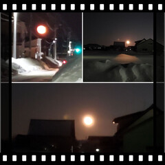 氷点下3度/満月の夜空 今日の満月🌕️
　帰宅時に見れた、東側の…(1枚目)