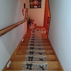 猫/マット/階段/にゃんこ同好会 我が家の階段マット（⌒_⌒）(2枚目)