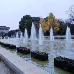 静けさ/閑散/噴水/上野公園 昨日は、夫の月命日なので
お参りに行きま…(2枚目)