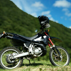 ワンオーナー/バイク/YAMAHA/ヤマハ/DT200WR/全塗装/... 譲り受けた不動のバイクをキャブのオーバー…(6枚目)