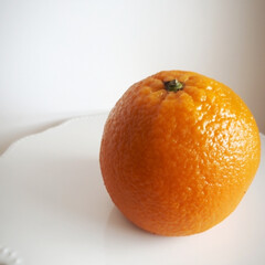 フルーツ/オレンジケーキ/ケーキ/スイーツ/オレンジ/フード/... 絶品まるごと🍊ケーキ。
オレンジの中に、…(4枚目)