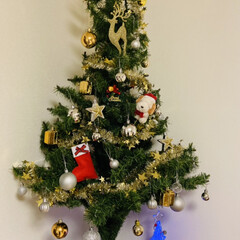 インテリア/クリスマスツリー こんばんは🌇
11月始めに🎄飾りました
…(1枚目)