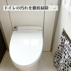 クリームクレンザー ジフ 270ml | ユニリーバ(クレンザー)を使ったクチコミ「トイレの徹底掃除をしました✨
Insta…」(1枚目)