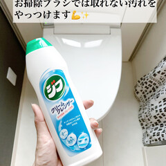 クリームクレンザー ジフ 270ml | ユニリーバ(クレンザー)を使ったクチコミ「トイレの徹底掃除をしました✨
Insta…」(2枚目)