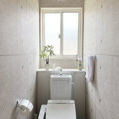 エステー トイレの消臭力スプレー オレンジ 330ML | トイレの消臭力(部屋用)を使ったクチコミ「我が家の2階のトイレインテリア。
掃除し…」(1枚目)