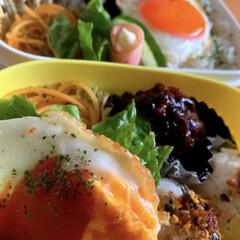 ちゃんと覚えてた/お弁当食べようねの約束/お弁当/おでかけ/暮らし ピカピカの1年生になって
しばらく早帰り…