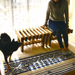 ベンチ/縁側/お片付け/棚/SPF 掃き出し窓の居心地の良さを飼い犬だけに与…