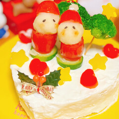 猫用クリスマスケーキ/犬用クリスマスケーキ/手作り/クリスマス/おうち時間/メリークリスマス/... 今年のわんこ用クリスマスケーキとにゃんこ…(1枚目)