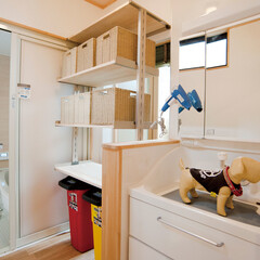 洗面室/浴室/Bonito/ボニート/マイクロバブル/ワンオンワン/... 洗面室には、愛犬のために開発された洗面化…(1枚目)
