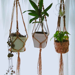 観葉植物/プラントバンキング/プラントハンガー/DIY/雑貨/100均/... おはようございます🌧️
春の嵐です🍃
…