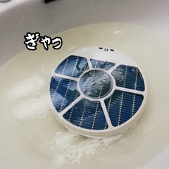 ウタマロクリーナー | ウタマロ(その他洗剤)を使ったクチコミ「加湿器のお掃除をしました。
家電のお手入…」(4枚目)