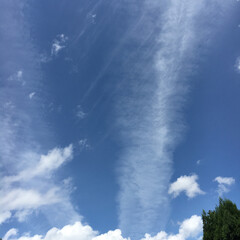 青空/晴天/飛行機雲 飛行機雲が空を流れる感じ☀️(1枚目)