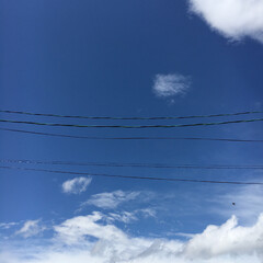 白い雲/青空/おでかけ 青空で、白い雲が流れてる
ように見えて、…(1枚目)
