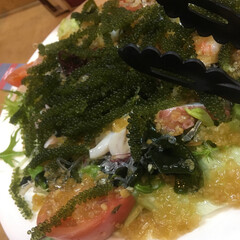 沖縄料理/フード/グルメ 海人サラダ🥗

海ぶどうを特製ドレッシン…(1枚目)