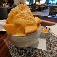 かき氷/シェーブアイス/マンゴー/ザ・パレス・ラウンジ/パレスホテル東京/スイーツ/... 軽めのディナーを食べた後、ホテルのラウン…(1枚目)