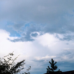 雲/青空/おでかけ/おでかけワンショット この前のハート❤雲😊
四つ葉のクローバー…(1枚目)
