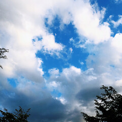 雲/青空/おでかけ/おでかけワンショット この前のハート❤雲😊
四つ葉のクローバー…(4枚目)