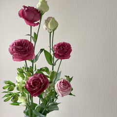 記念日に/薔薇/フラワーベース/棚/リビング/雑貨 記念日なので、リビングにお花を❁✿✾  …(1枚目)