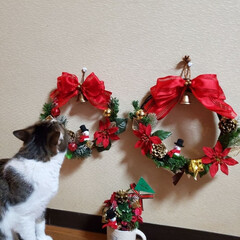 玄関/プレゼント/手作り/猫/クリスマスリース/リース/... 先日作ったスノーマンを使って
リースとア…(1枚目)