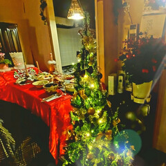 猫/サンタコス/猫サンタ/クリスマスパーティー/クリスマス2019/雑貨/... Merry Christmas🌟
ご馳走…(1枚目)