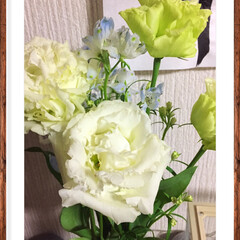 プレゼント/記念日 息子から結婚記念日にお花のプレゼント 少…(1枚目)
