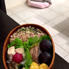 お弁当/時短レシピ 娘弁当♡
玄米ご飯
高野豆腐
レンチン煮…