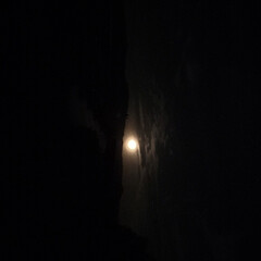 これぞお月見のphotoなんだけど 寝る前にお月様を(´ｰ｀).｡*･ﾟﾟ
…(3枚目)